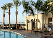 Thumbnail 62 of 126 - A pool surrounded by palm trees and lounge chairs.