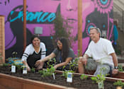 Thumbnail 8 of 10 - Three people are working in a garden bed.