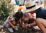 Thumbnail 6 of 10 - A group of people are gathered around a small plant.