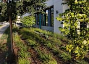 Thumbnail 58 of 102 - A modern building with a white exterior and a green tree in front.