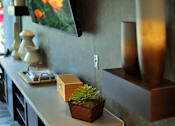 Thumbnail 79 of 94 - A small potted plant sits on a counter.