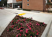 Thumbnail 24 of 94 - A modern building with a flower bed in front.