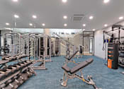 Thumbnail 33 of 38 - A well-equipped gym with various exercise machines and weights.