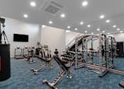 Thumbnail 31 of 38 - A gym with a variety of equipment including a punching bag.