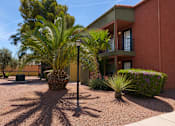 Thumbnail 6 of 23 - A palm tree stands in front of a building.