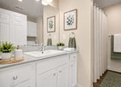Thumbnail 24 of 42 - A bathroom with a white sink and a green rug.