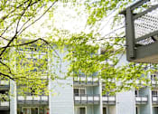 Thumbnail 13 of 15 - A tree with white flowers is in front of apartment buildings.