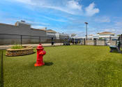 Thumbnail 25 of 29 - Rooftop Dog Park