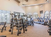 Thumbnail 18 of 94 - Fitness Center at The Villas at Ellis Manor, California