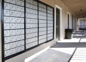 Thumbnail 14 of 77 - Oak Alley Apartments - Cypress Communities