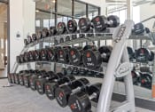 Thumbnail 31 of 36 - a rack of dumbbells in a gym at Yellowstone Landing, Montana, 59714