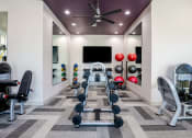 Thumbnail 24 of 43 - a gym with weights and a tv in the corner at Discovery at Craig Ranch, McKinney, TX, 75070