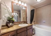 Thumbnail 38 of 43 - a bathroom with a sink and a tub and a mirror at Discovery at Craig Ranch, Texas, 75070