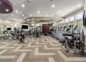 Thumbnail 3 of 49 - Fully Equipped Fitness Center at Discovery at Kingwood, Kingwood, TX