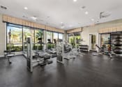 Thumbnail 12 of 45 - State Of The Art Fitness Facility at Avenues at Tuscan Lakes, League City