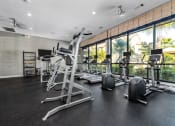 Thumbnail 11 of 45 - Modern Fitness Center at Avenues at Tuscan Lakes, League City, 77573