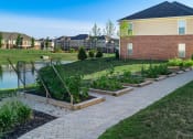 Thumbnail 9 of 61 - raised garden beds next to building at The Greyson, Ohio