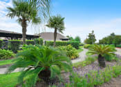 Thumbnail 24 of 84 - Landscape at Grand Villas Apartments, Katy