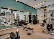 Thumbnail 41 of 65 - Gym1 at Marquee, Minneapolis, 55403