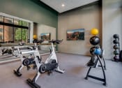 Thumbnail 36 of 65 - Fitness Center and Weights at Marquee, Minnesota