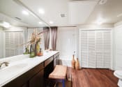 Thumbnail 15 of 38 - spacious master bath at River Pointe, Conroe, TX, 77304