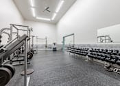 Thumbnail 17 of 50 - A gym with a mirror on the wall and weights on the floor.