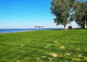 Thumbnail 40 of 46 - a grassy field with a tree and a bench near the water