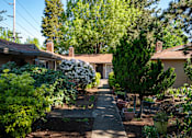 Thumbnail 9 of 24 - the front yard of a house with a sidewalk and potted plants