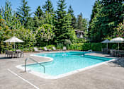 Thumbnail 25 of 30 - A pool surrounded by trees and chairs.