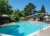 Thumbnail 7 of 30 - A swimming pool surrounded by trees and a building in the background.