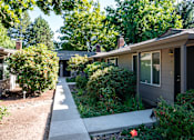 Thumbnail 7 of 24 - A house with a grey facade and a black door is surrounded by greenery.