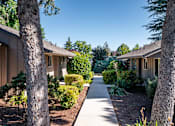 Thumbnail 24 of 24 - A tree-lined walkway leads to a series of houses.