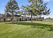 Thumbnail 15 of 18 - Lush Green Landscape at Park 146, Aurora