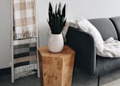 Thumbnail 1 of 10 - A plant sits on a wooden block next to a grey couch.