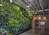 Thumbnail 25 of 27 - A green wall of plants lines a hallway at The Anthem at Square 10 Apartments, New Haven, Connecticut