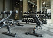 Thumbnail 86 of 113 - Two Level Fitness Center at The Audubon New Haven, New Haven, Connecticut