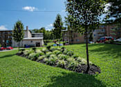 Thumbnail 26 of 38 - Del Vista Apartments Landscaping 20