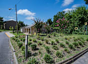 Thumbnail 32 of 38 - Del Vista Apartments Pool Area Landscaping