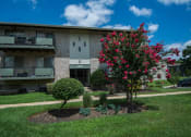 Thumbnail 4 of 17 - Lilly Garden Apartments Building Exterior 07