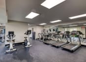 Thumbnail 13 of 28 - Oakton Park Apartments Fitness Center 07
