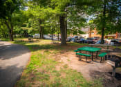 Thumbnail 40 of 43 - Maplewood Villas Apartments Picnic Area 01