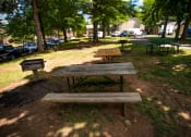 Thumbnail 41 of 43 - Maplewood Villas Apartments Picnic Area 02