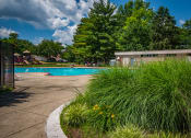 Thumbnail 35 of 43 - Maplewood Villas Apartments Pool 10