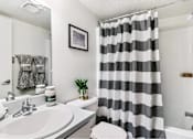 Thumbnail 103 of 111 - A bathroom with a striped shower curtain and a plant on the toilet.