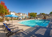 Thumbnail 16 of 20 - Cape May Pool