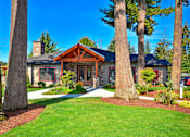 Thumbnail 21 of 24 - a home with large trees in front of it