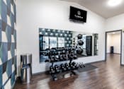 Thumbnail 7 of 10 - A gym with a mirror, weights, and a TV.