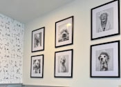 Thumbnail 16 of 17 - A wall with four framed pictures of dogs.