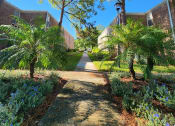 Thumbnail 18 of 20 - Walkway area next to apartment buildings, Timberfalls Apartments