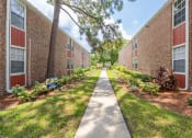 Thumbnail 20 of 20 - Apartment building walkway at Timberfalls Apartments